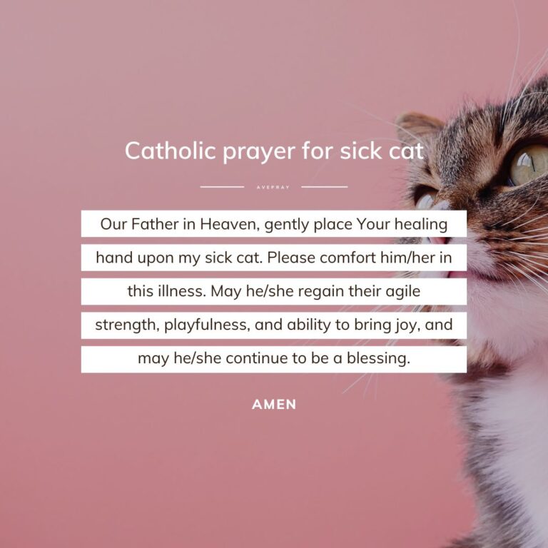 Catholic prayer for sick cat – AvePray