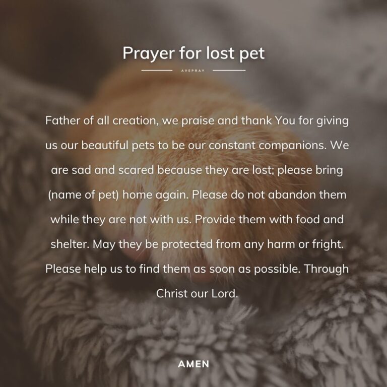 Prayer for Lost Pet for protection and safety