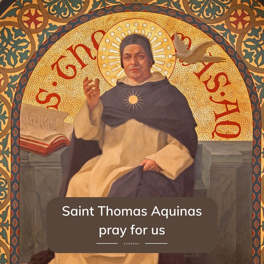 Saint Thomas Aquinas Life And Philosophy AvePray Saint Thomas Aquinas Life And Philosophy AvePray